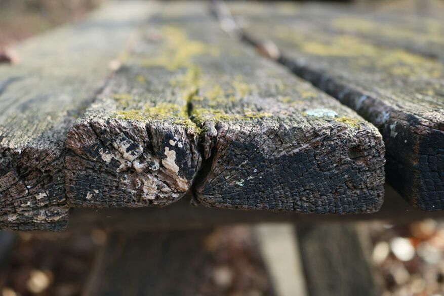A close-up image shows splitting and mildew on decking boards.
