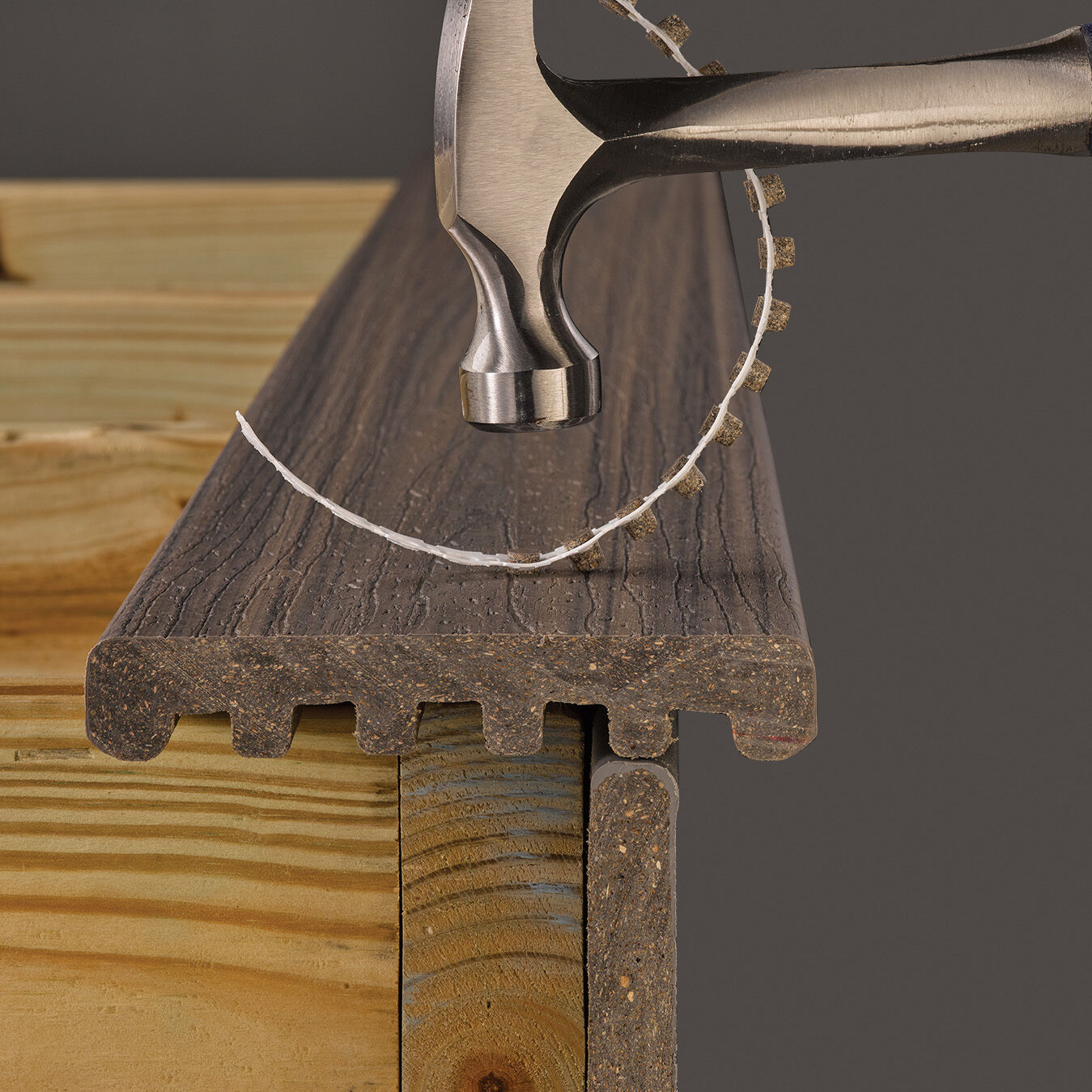 Collated Cortex for Trex Enhance | FastenMaster